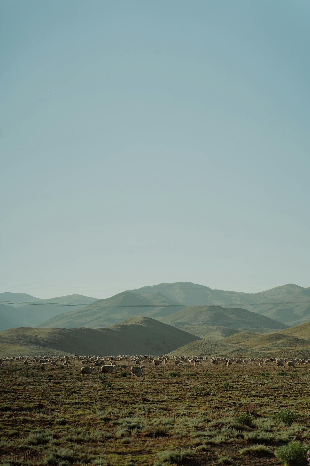 Nature 3