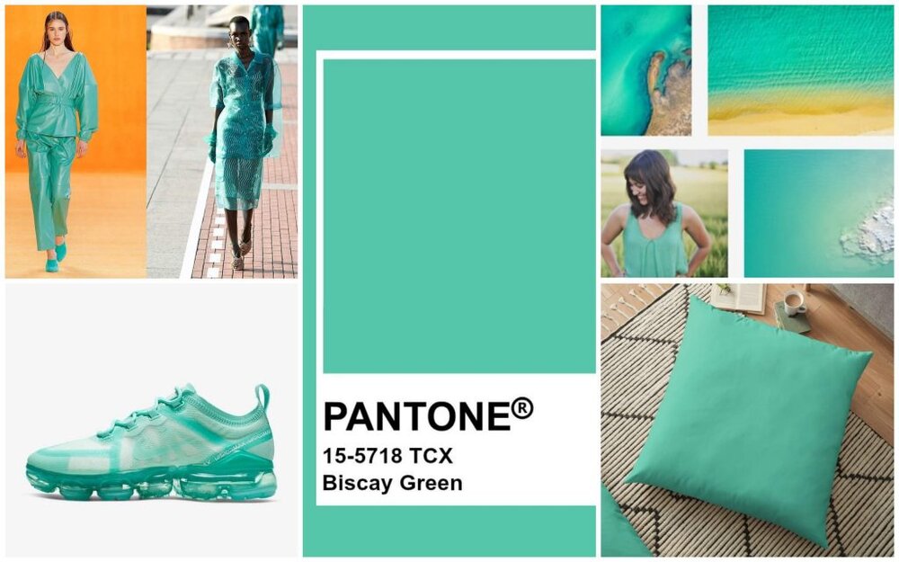 Biscay Green color trend