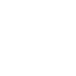 Youtube Icon