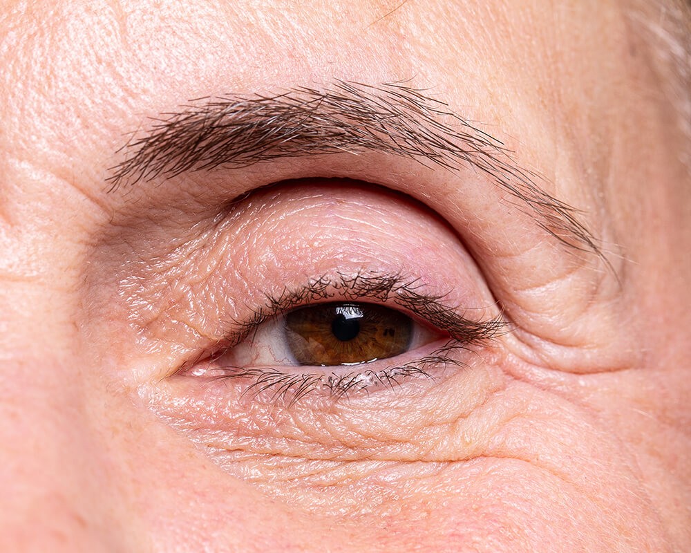 Close-up of a dark green leaf showing its textured surface and central vein against a muted background.