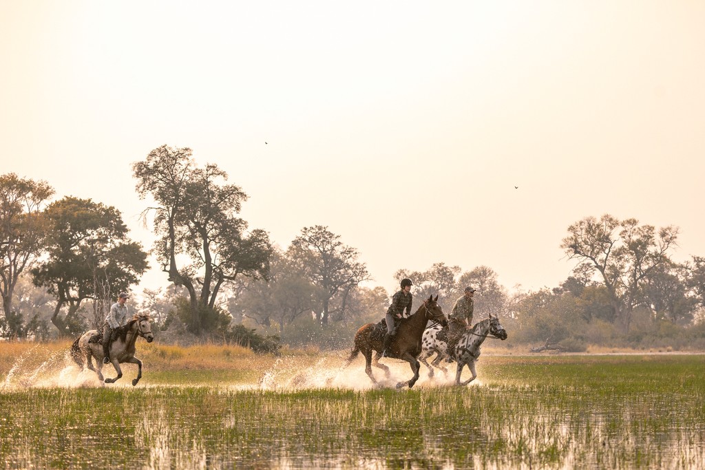 En grupp ryttare till häst på ridsafari korsar djupt vatten i solnedgången i Okavango Deltat – en oförglömlig ridresa i Botswana, Afrika.