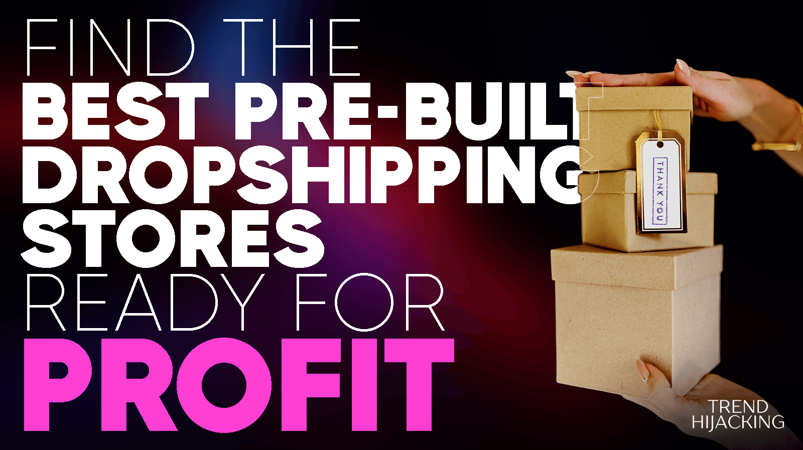 best pre-built dropshipping stores