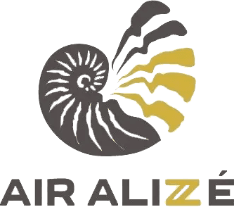 Advanced Flight private aviation company logo