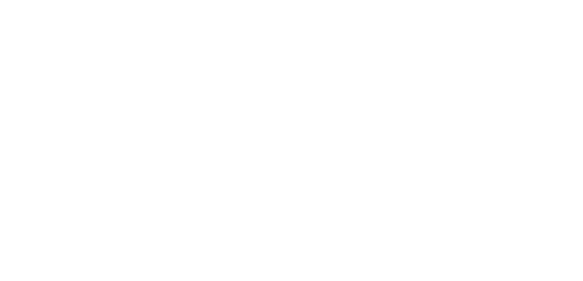 mega-limousine typo 2