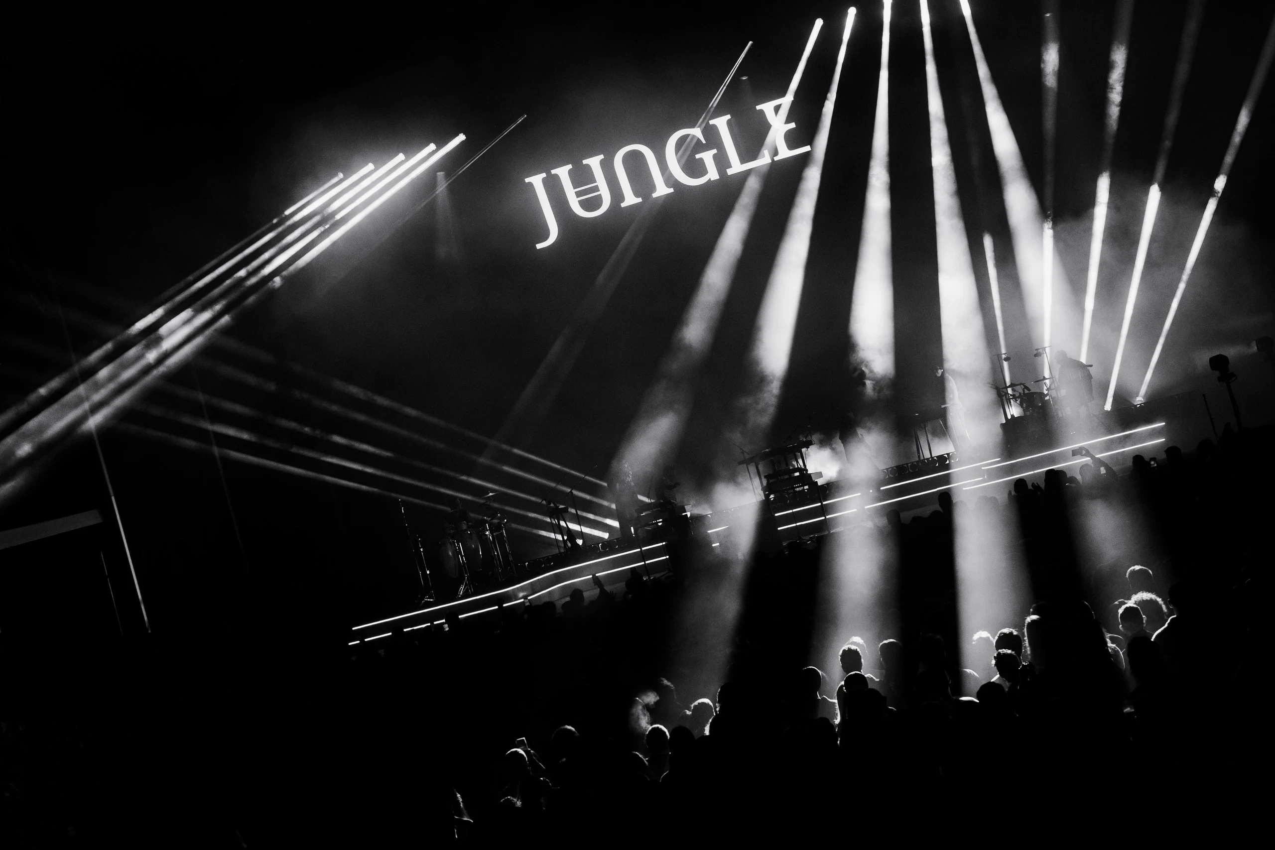 Jungle, event coverage by ANY & ALL STUDIOS, image 2 of 7
