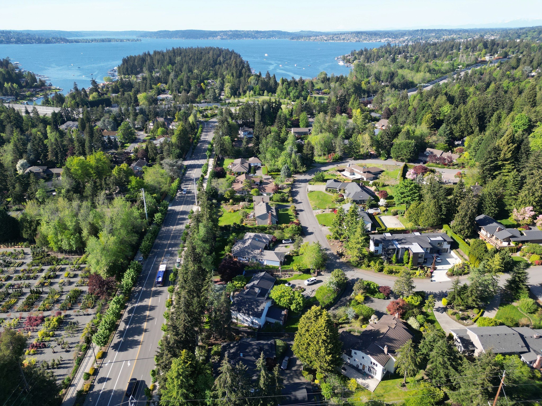 Skyline photo of Clyde Hill in Bellevue, WA