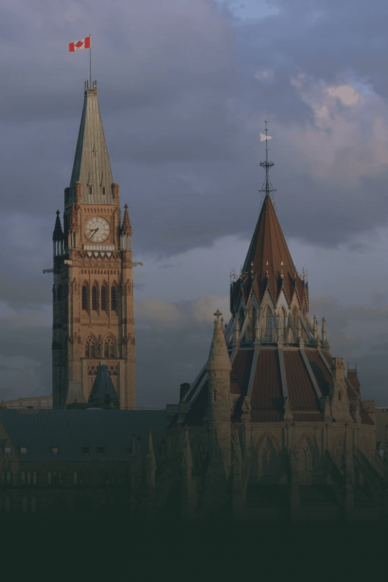 Modern landscaped garden showcasing professional outdoor design.