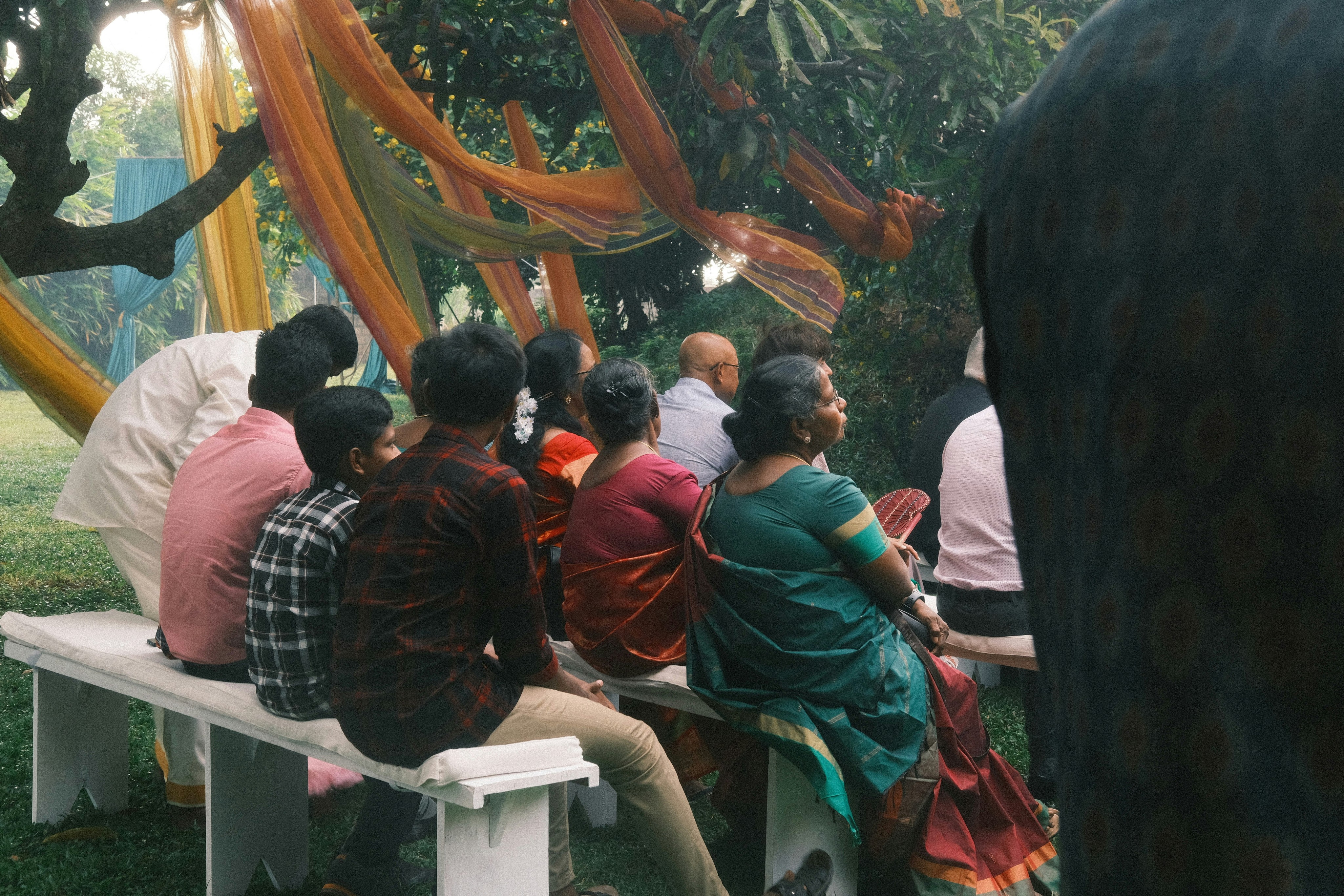 Close-up of a tree stump showing growth rings and a textured brown wood surface.