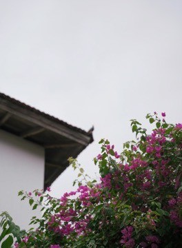 Tiled eaves and bougainvillea against a pale sky