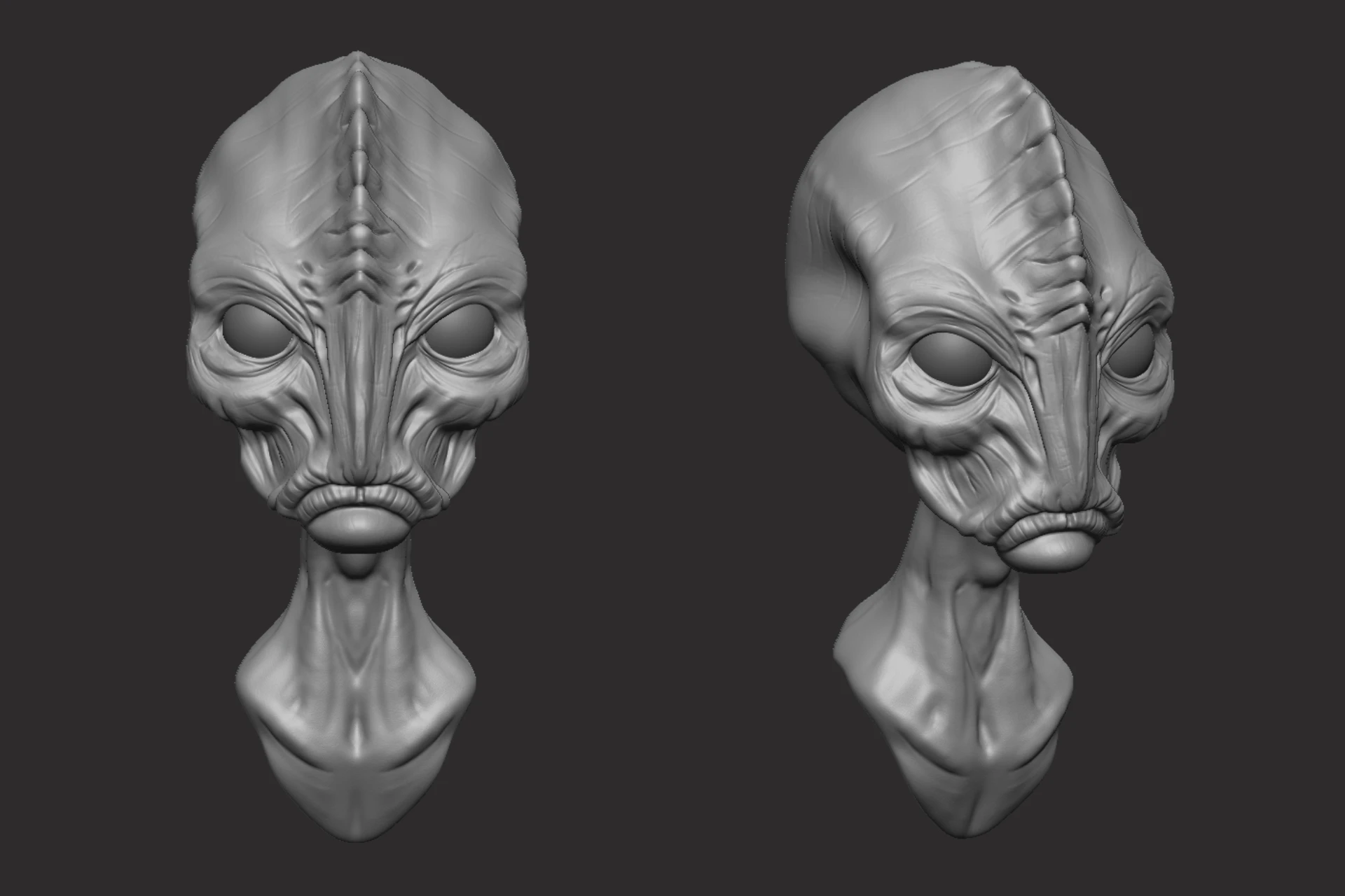 ZBrush assets