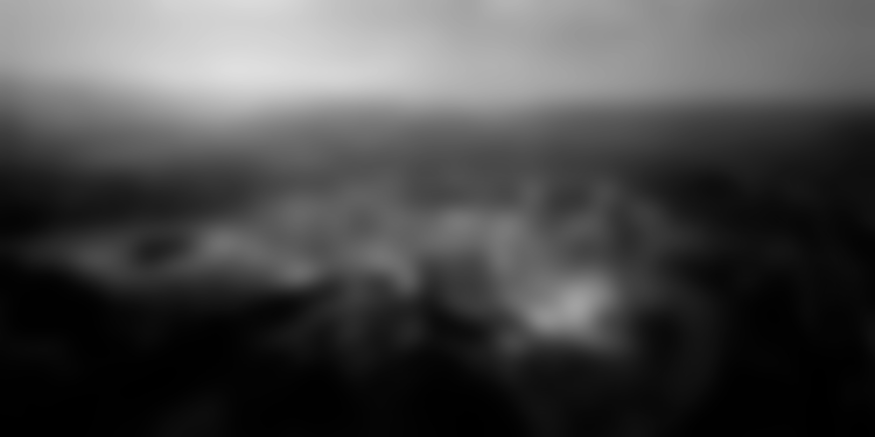 arya-safavi-havenline-quarter-1