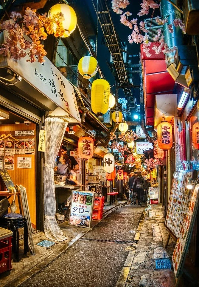 Japan Tour Package 