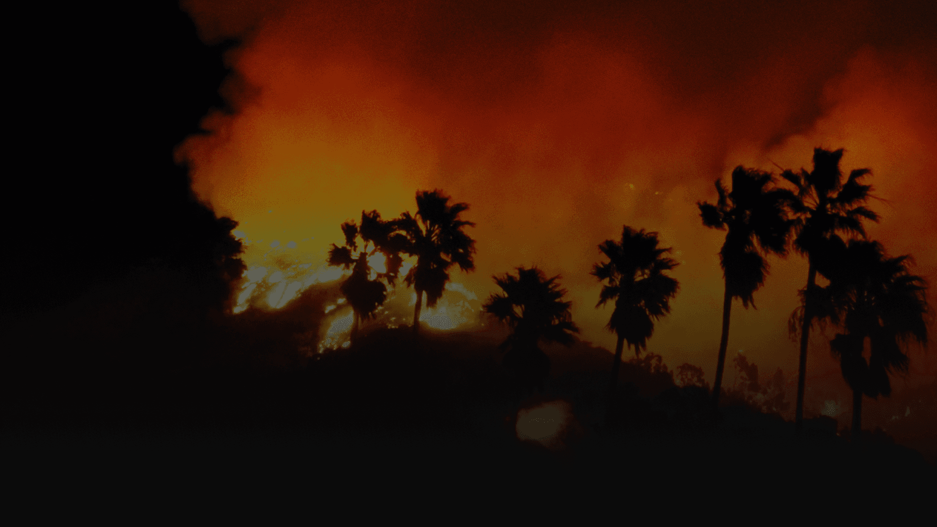 kids lying on a glass land and smiling