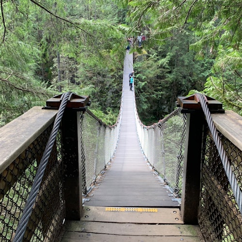 峡谷之上的悬索桥