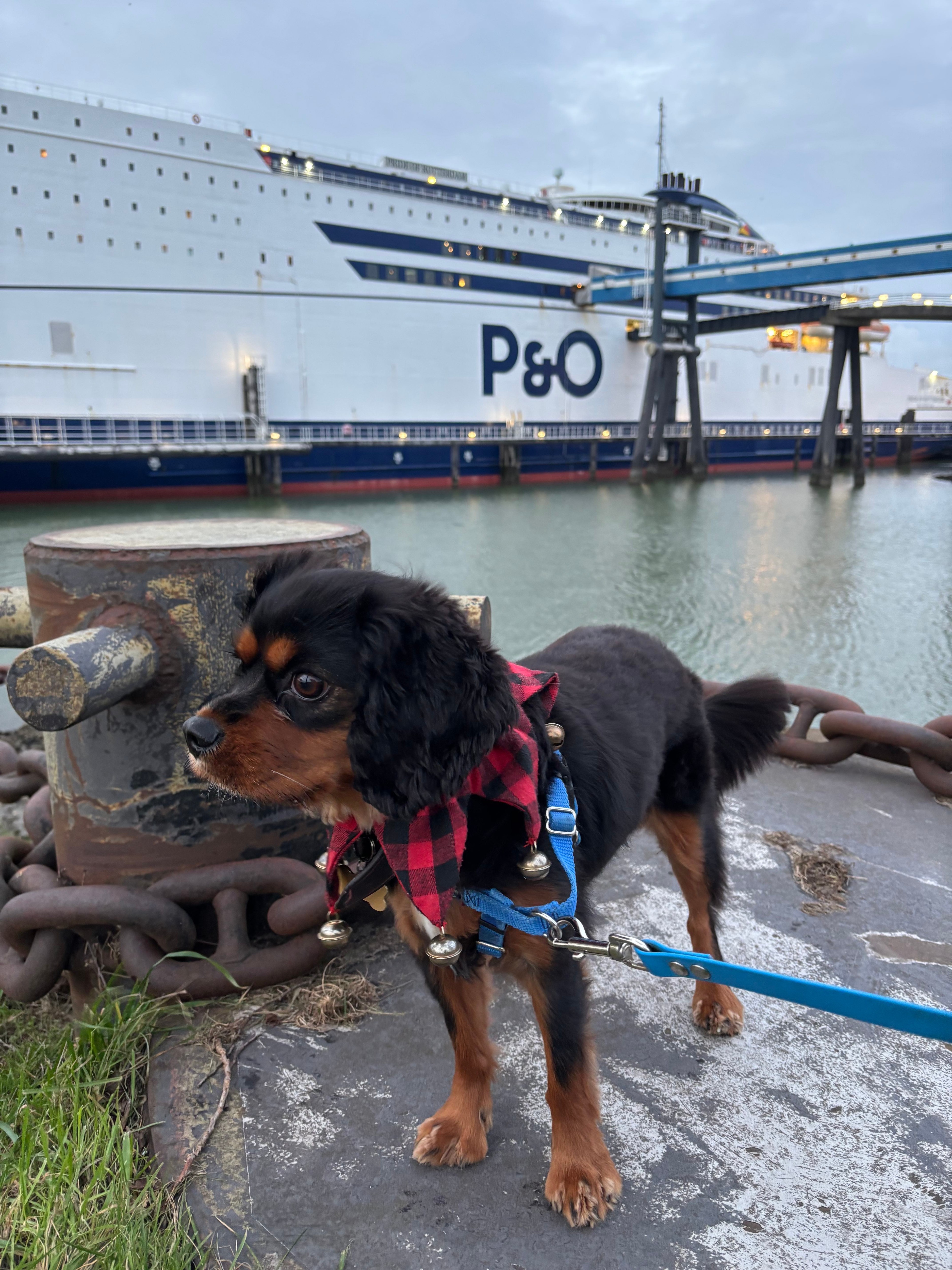 Peru outside Europort in Rotterdam ready to emBARK his trip to the UK.