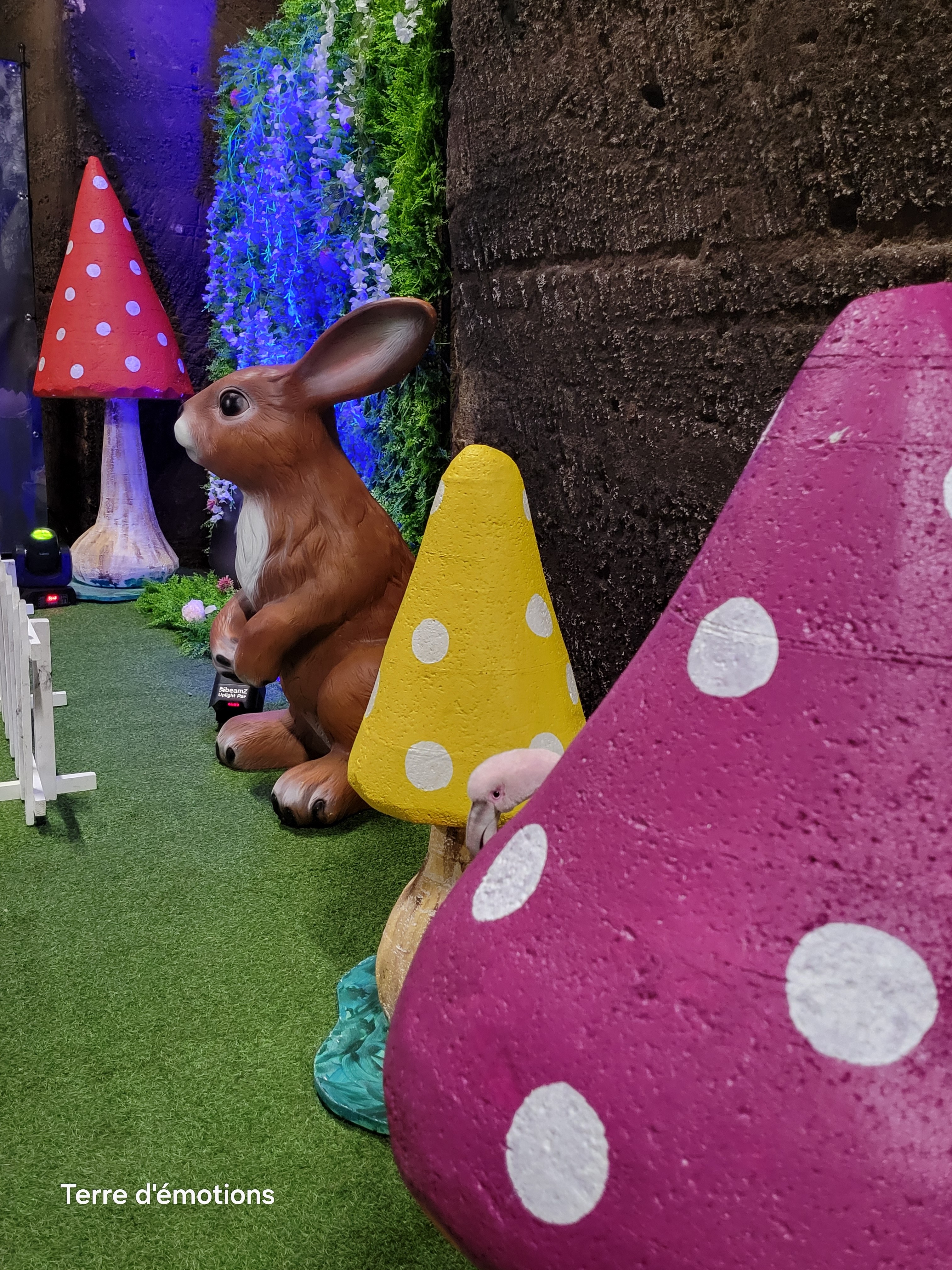 decor-soiree-theme-pays-des-merveilles