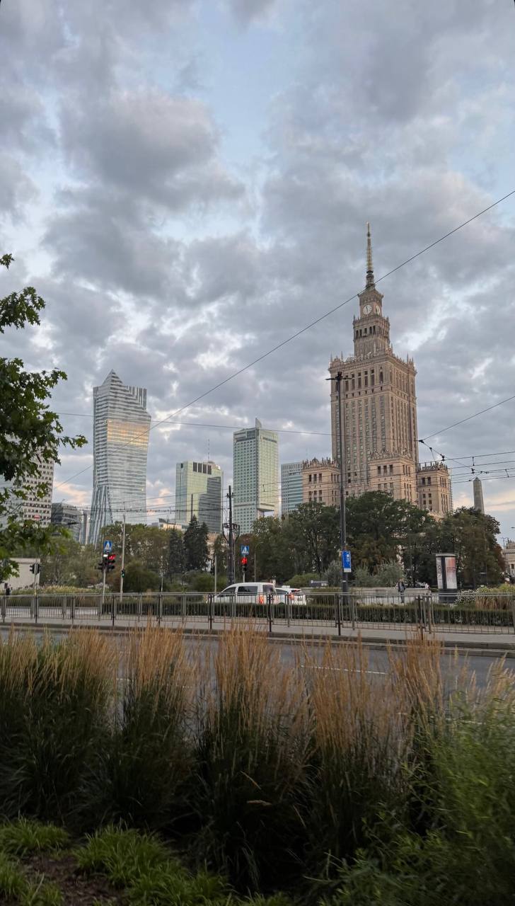 Vintage Car Under Palm Trees