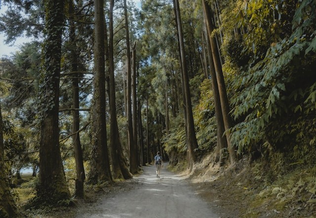 The Azores