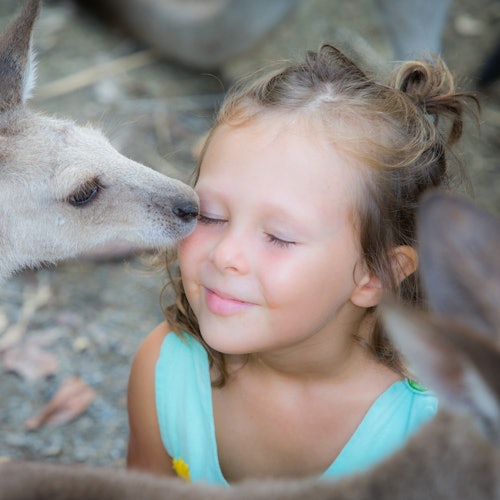 เด็กสาวคนหนึ่งหลับตาพลางยิ้มเมื่อจิงโจ้แตะที่แก้มของเธออย่างแสนอบอุ่น