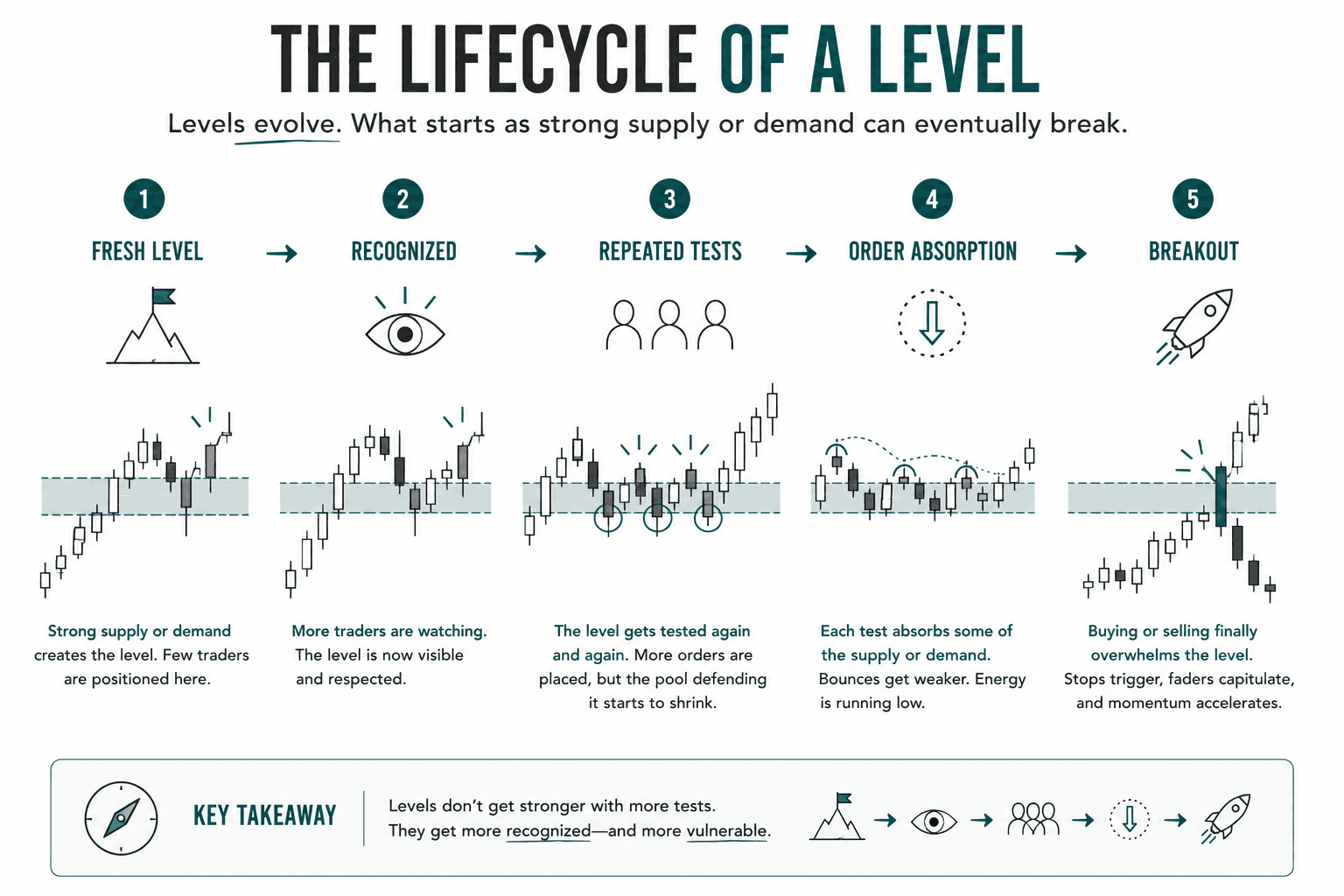 Horizontal infographic illustrating the lifecycle of a support or resistance level: Fresh Level, Recognized, Repeated Tests, Order Absorption, and Breakout. Each stage includes a simplified candlestick chart showing how market participation evolves until the level eventually gives way.