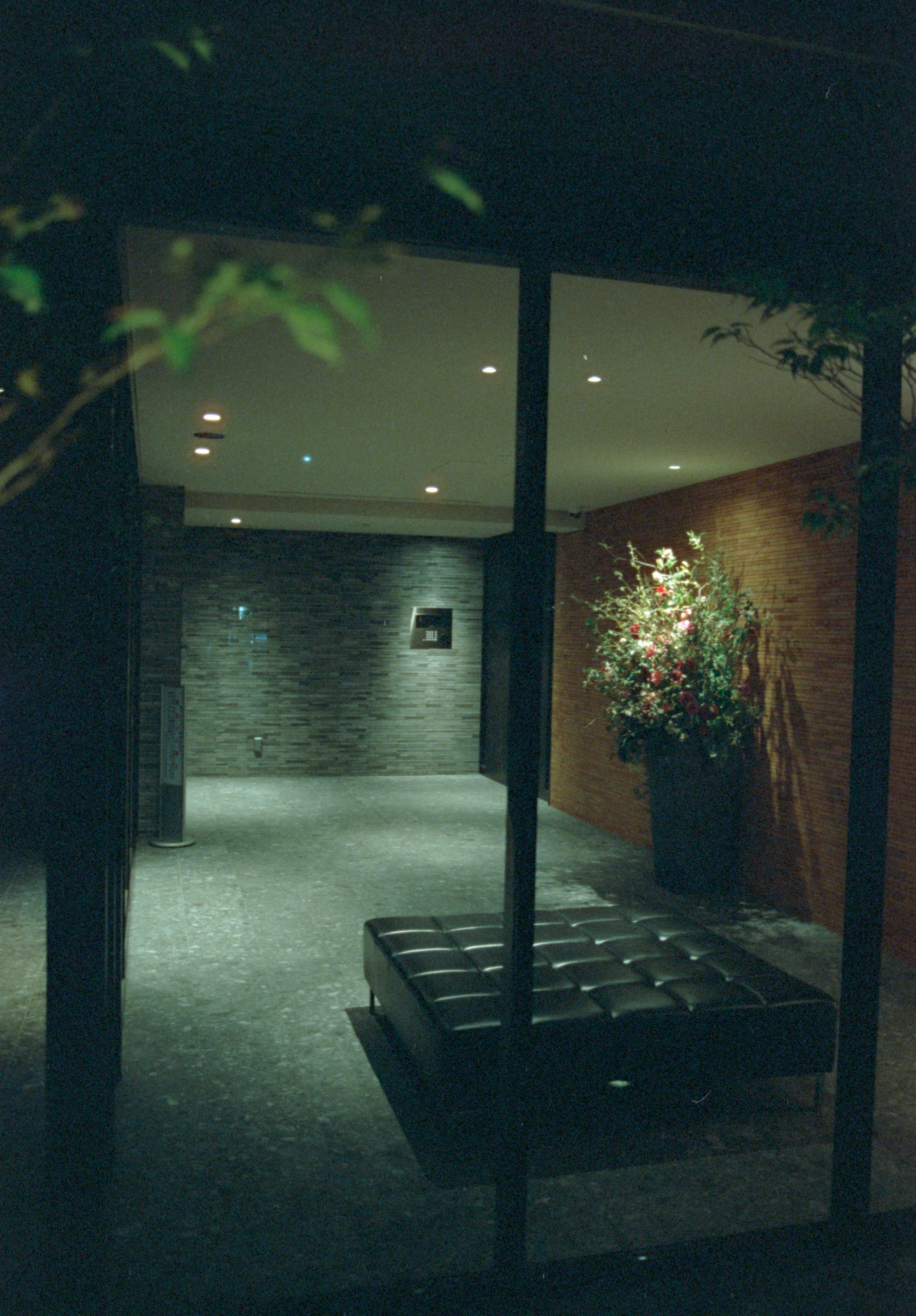 A room with a couch and a plant in it