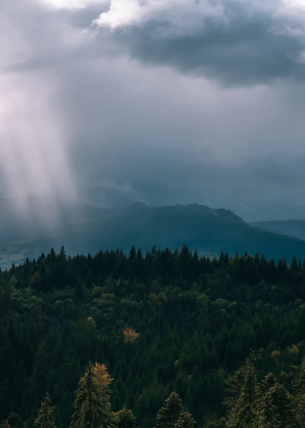 Rainy mountains