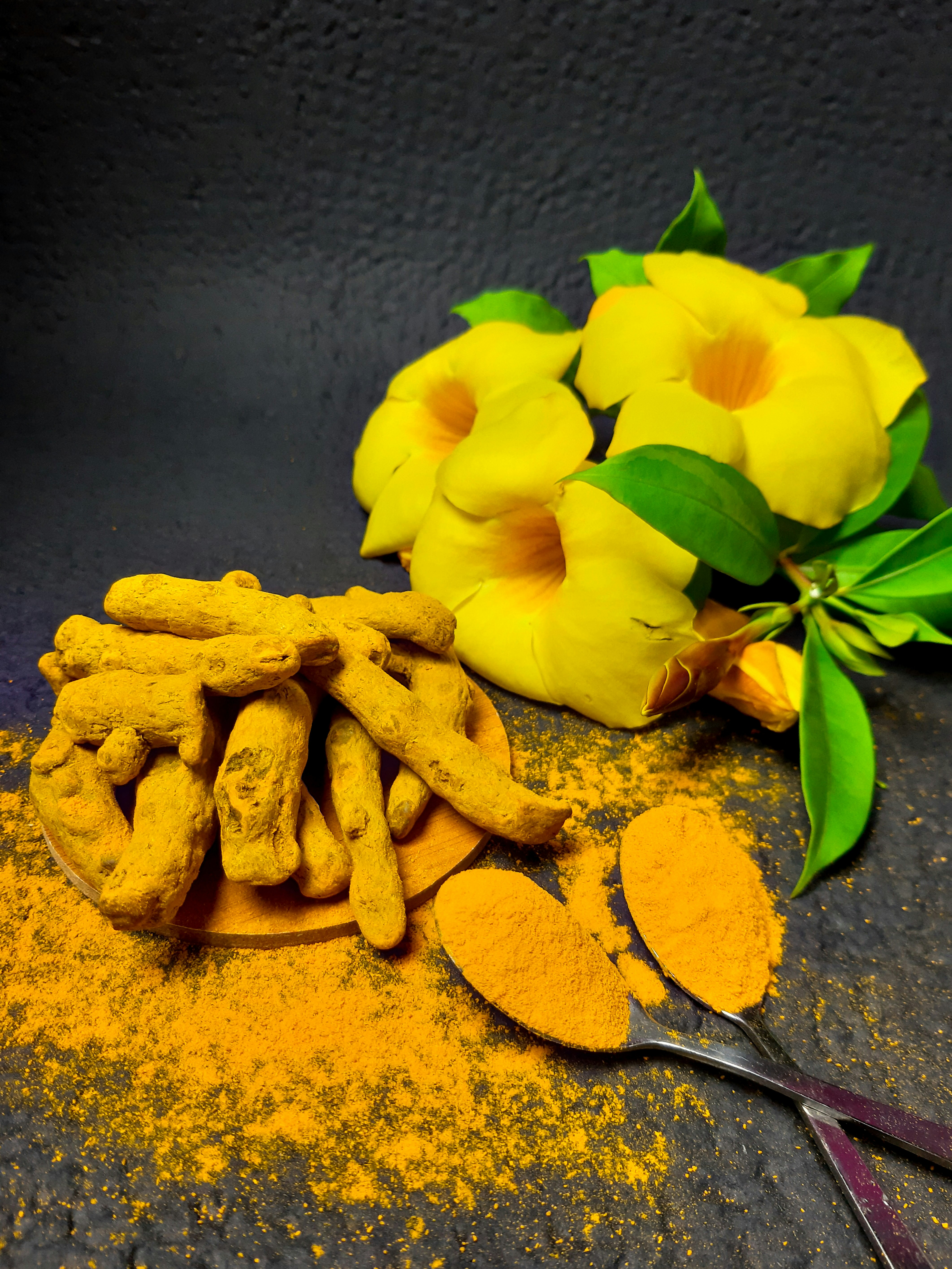 Turmeric Herb Profile