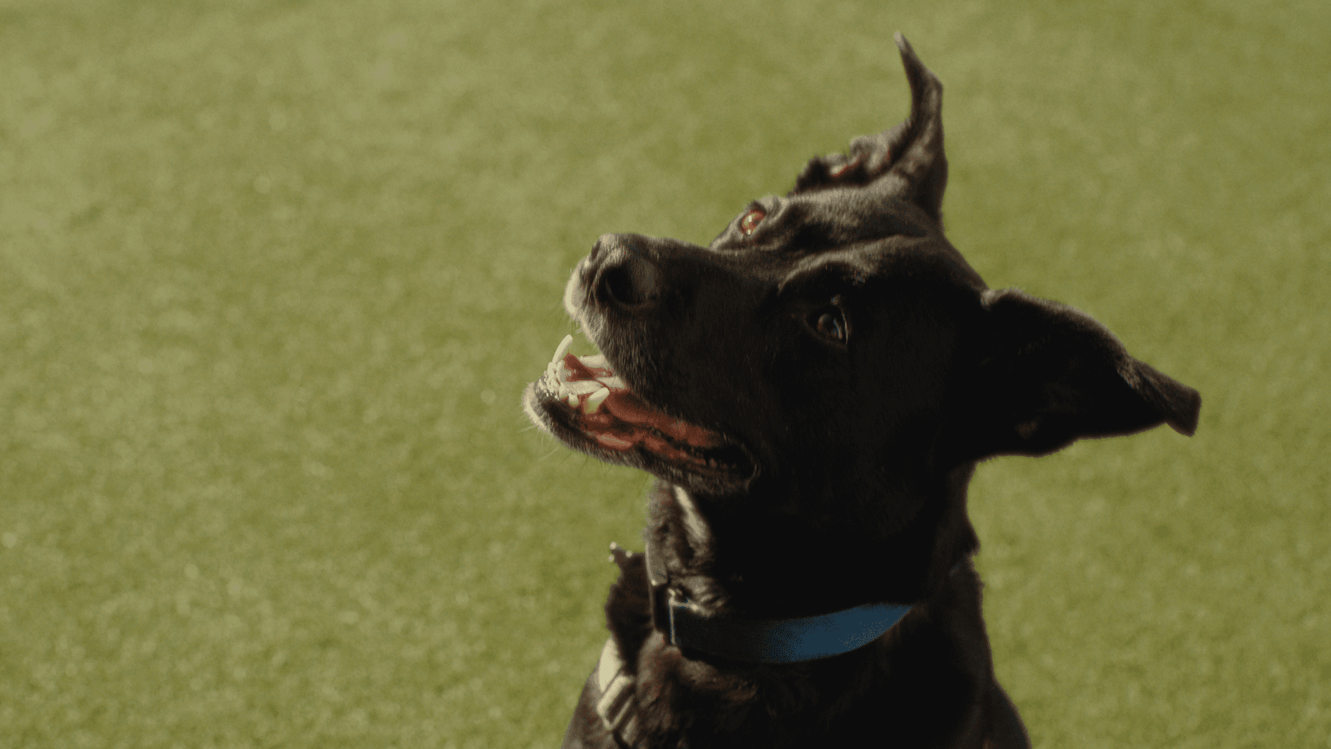 person writing on a piece of paper 