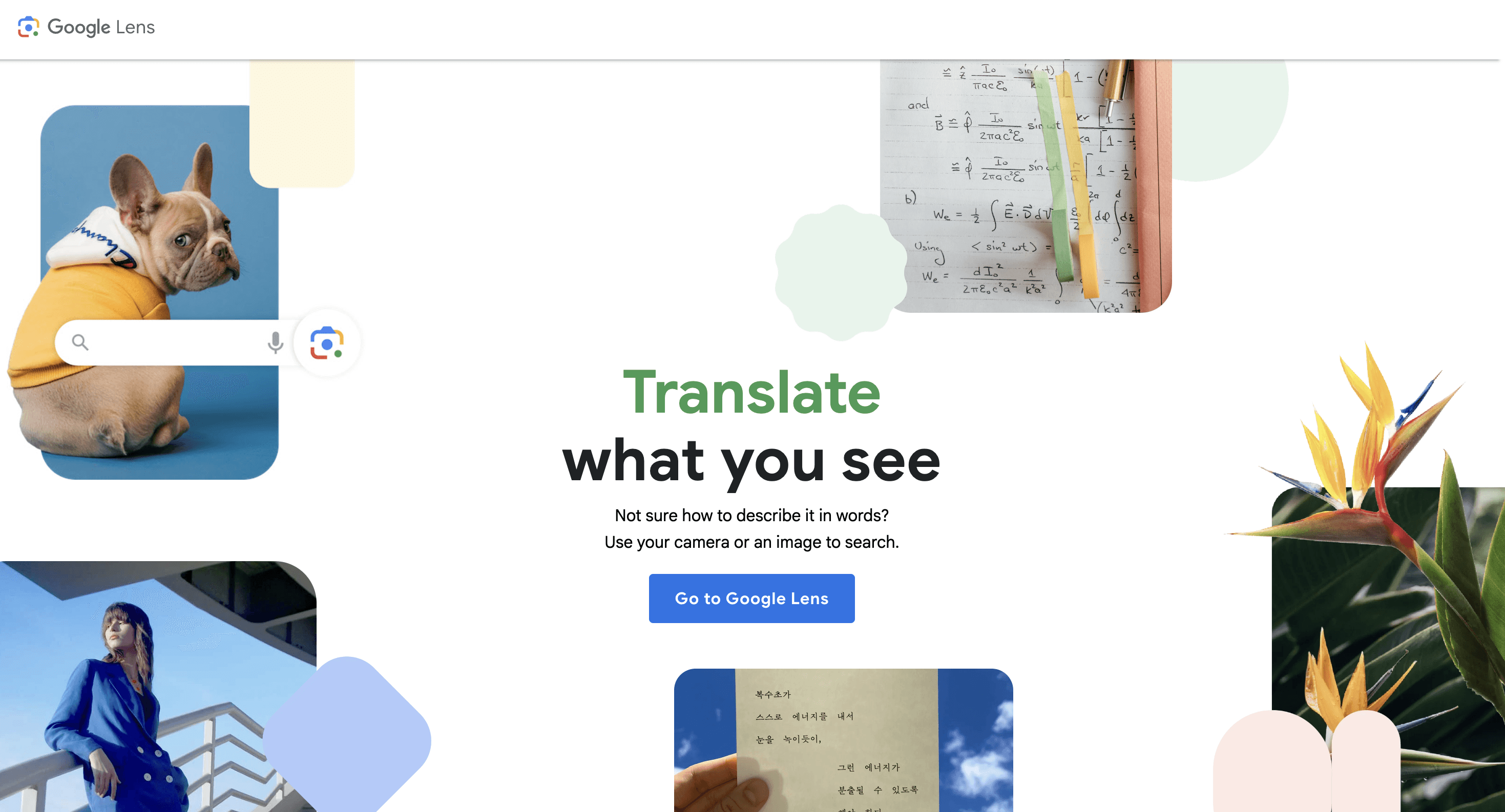 google lens landing page