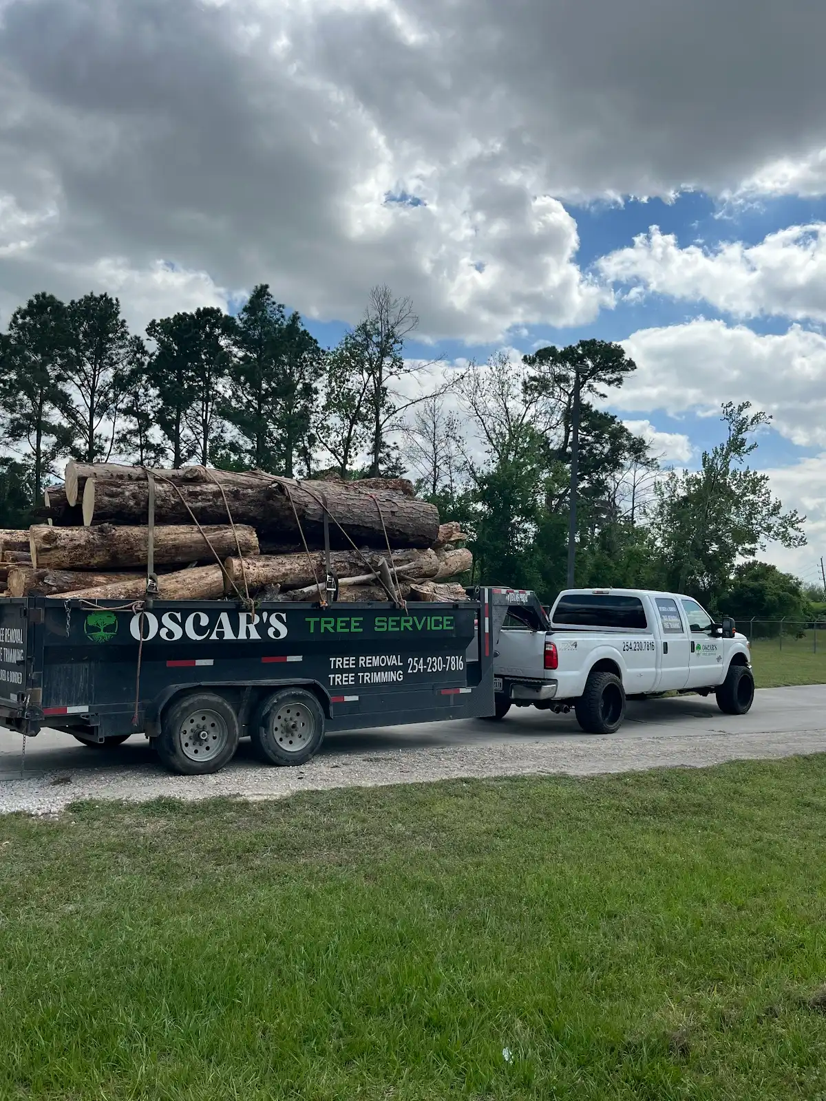 company truck hauling tree logs