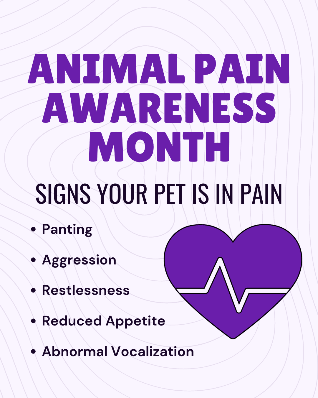 Animal Pain Awareness Month