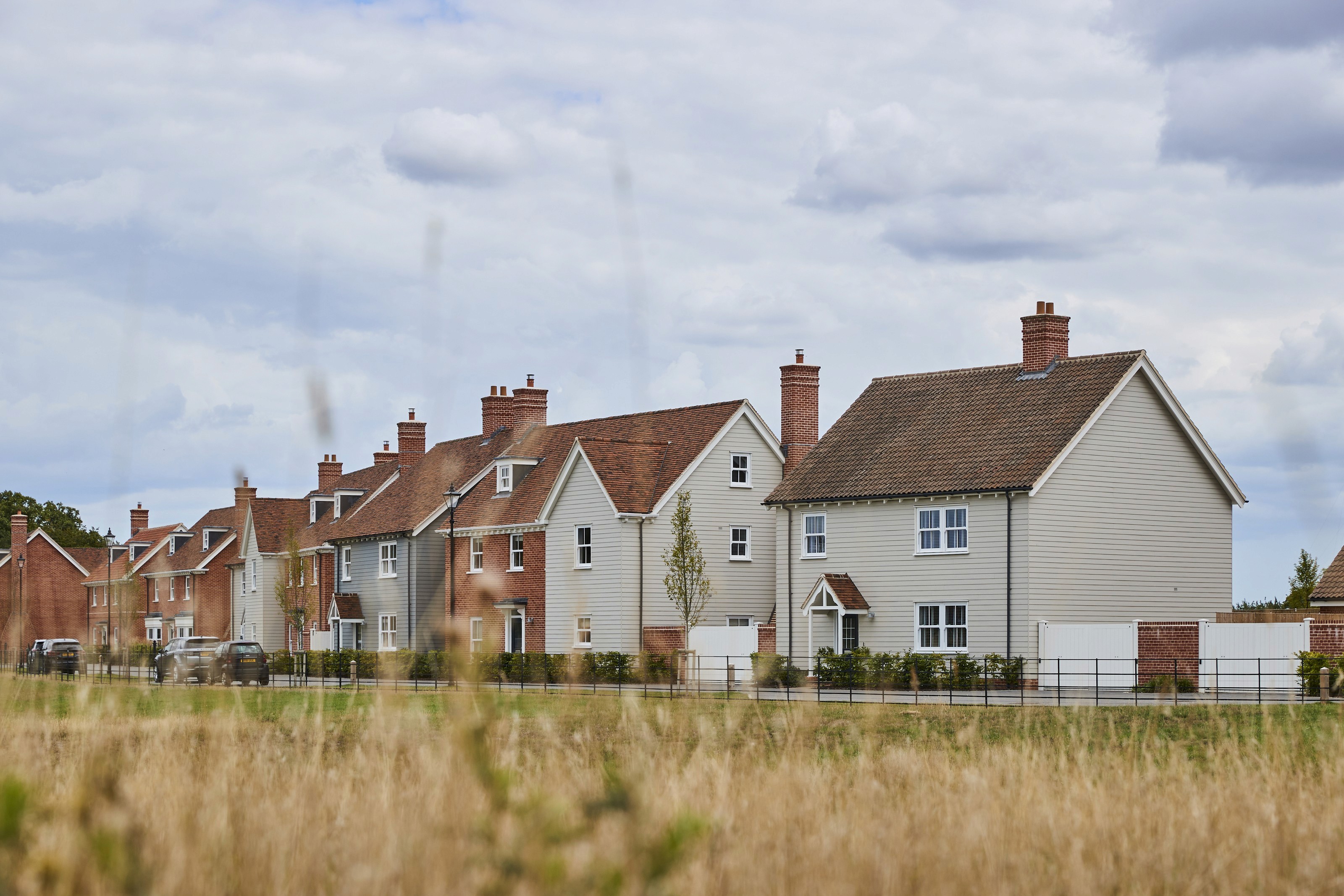 A row of houses in the countryside