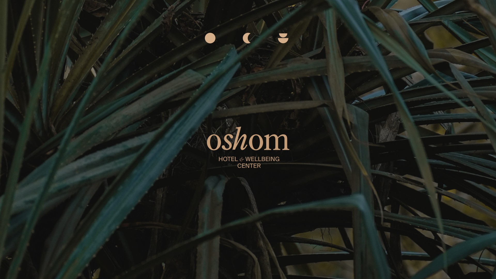 Minimalist coffee can design in hand – black and white packaging with bold typography