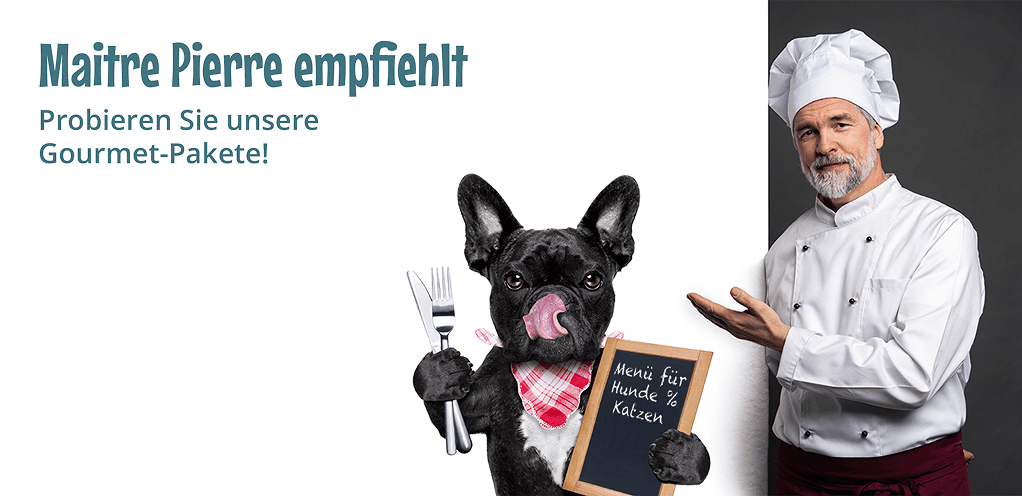 Cool Dog banner featuring a black French bulldog holding a menu board next to a chef in a white coat and toque, headlined "Maitre Pierre empfiehlt"