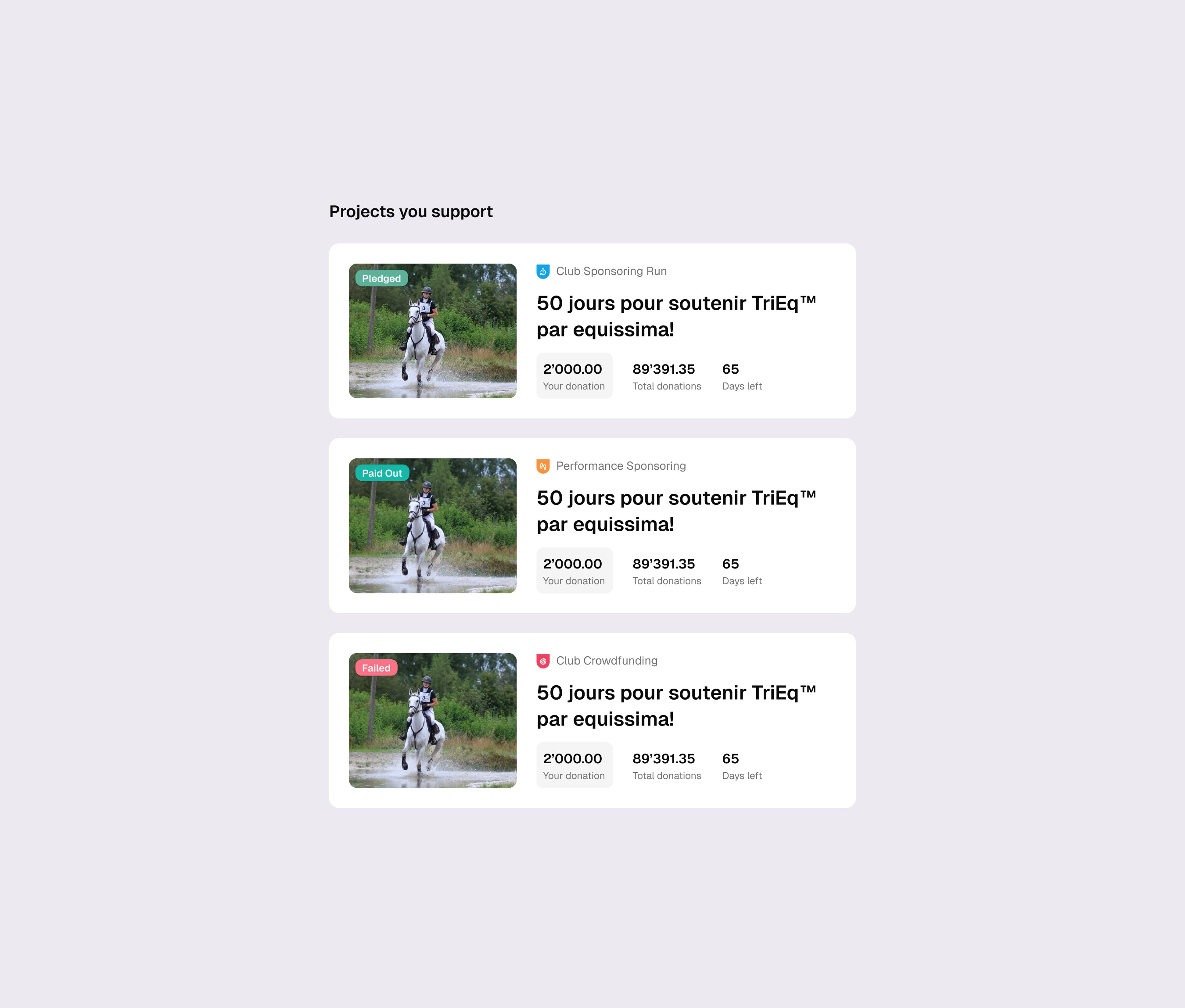 Large Project Gallery Image #3