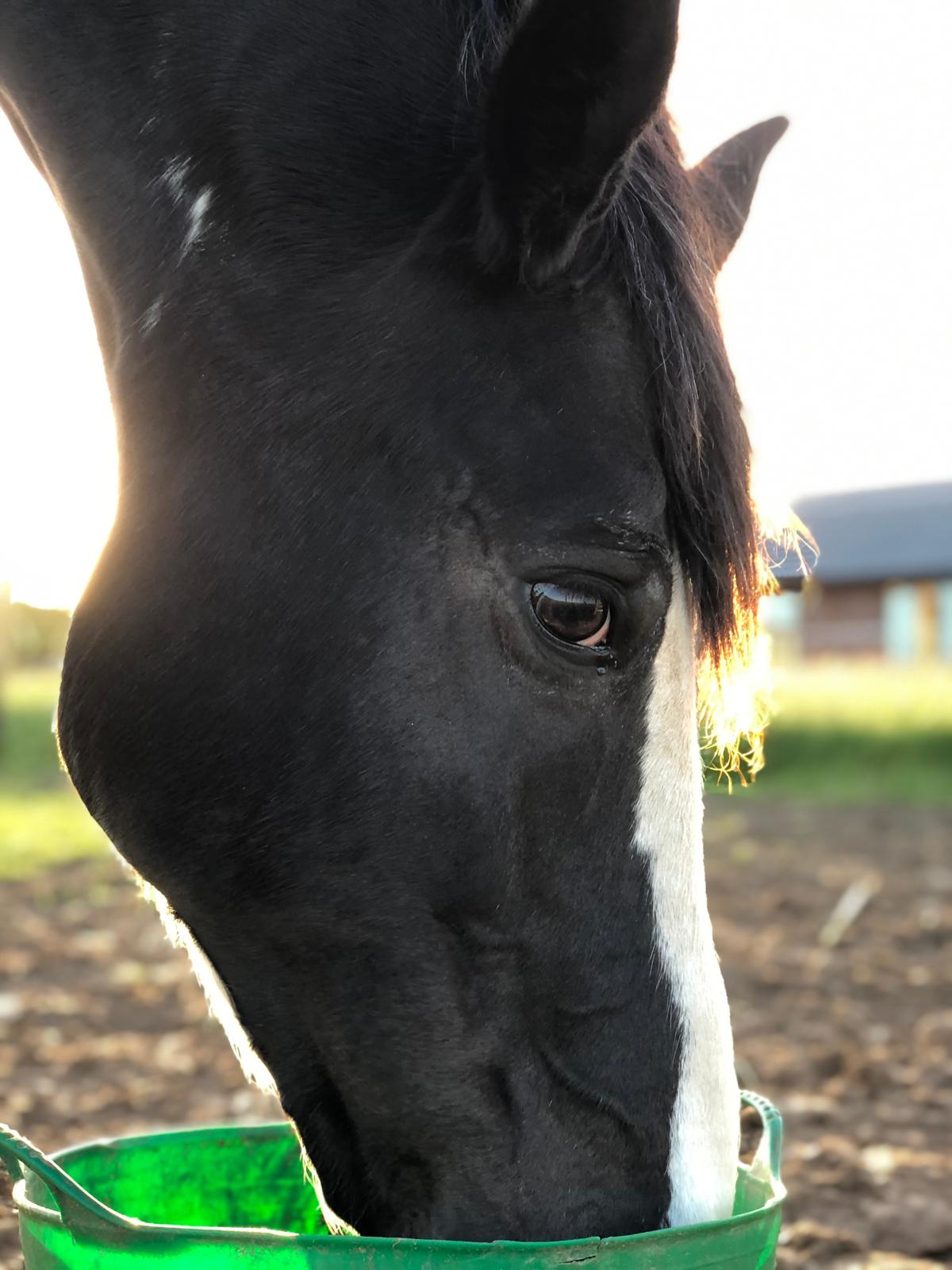 Full-Body Detox Wrap