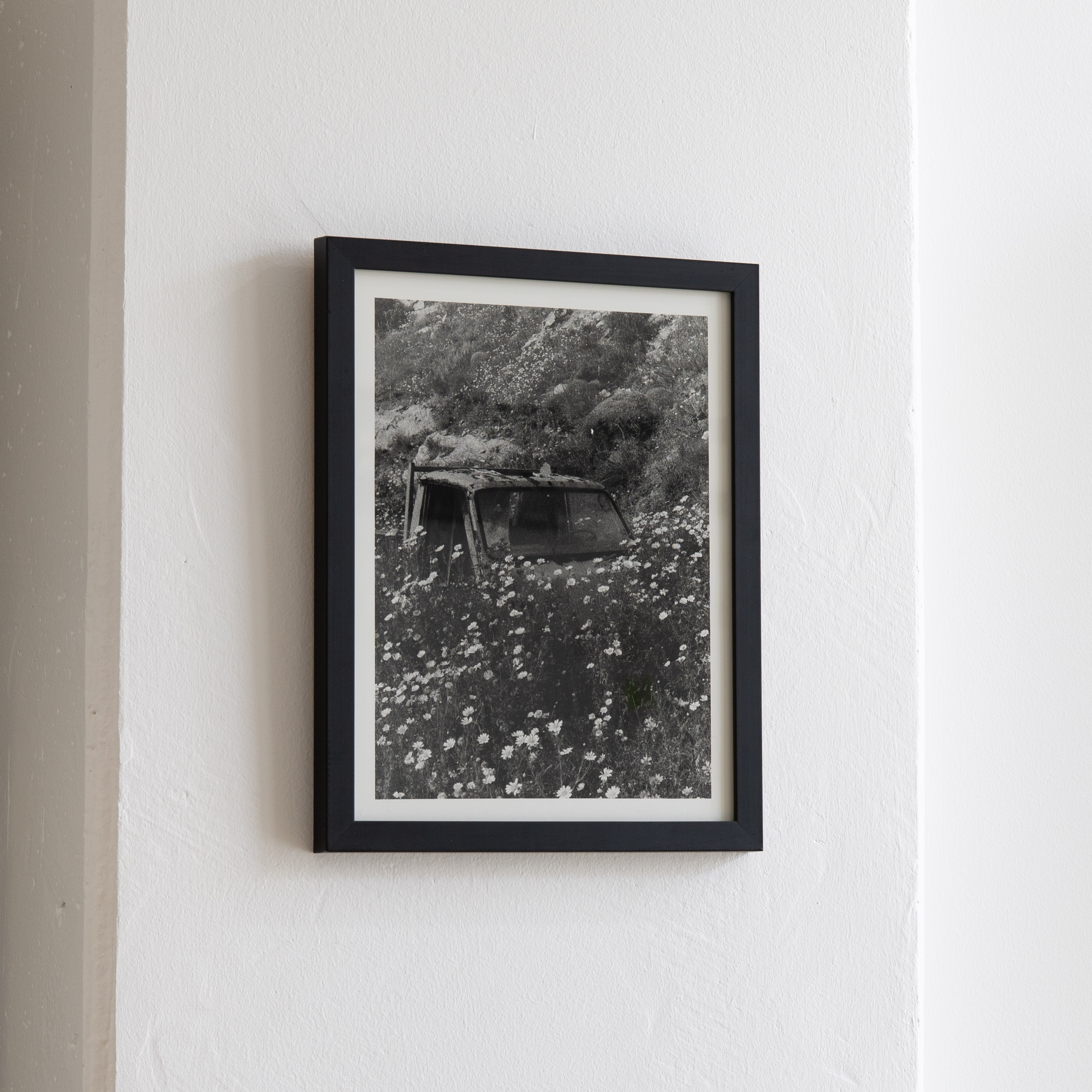 Darkroom prints drying on wire racks