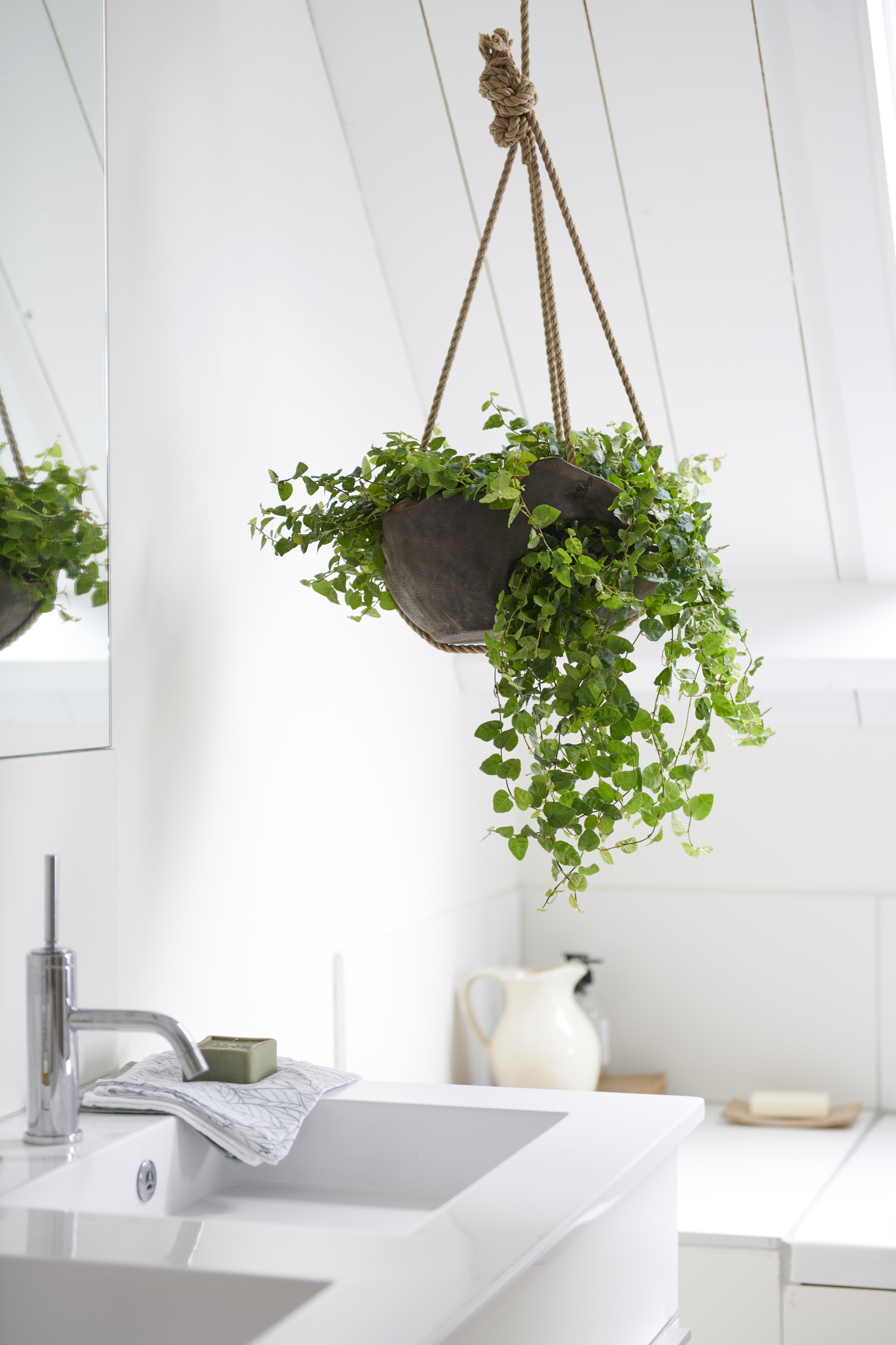 hangplant badkamer