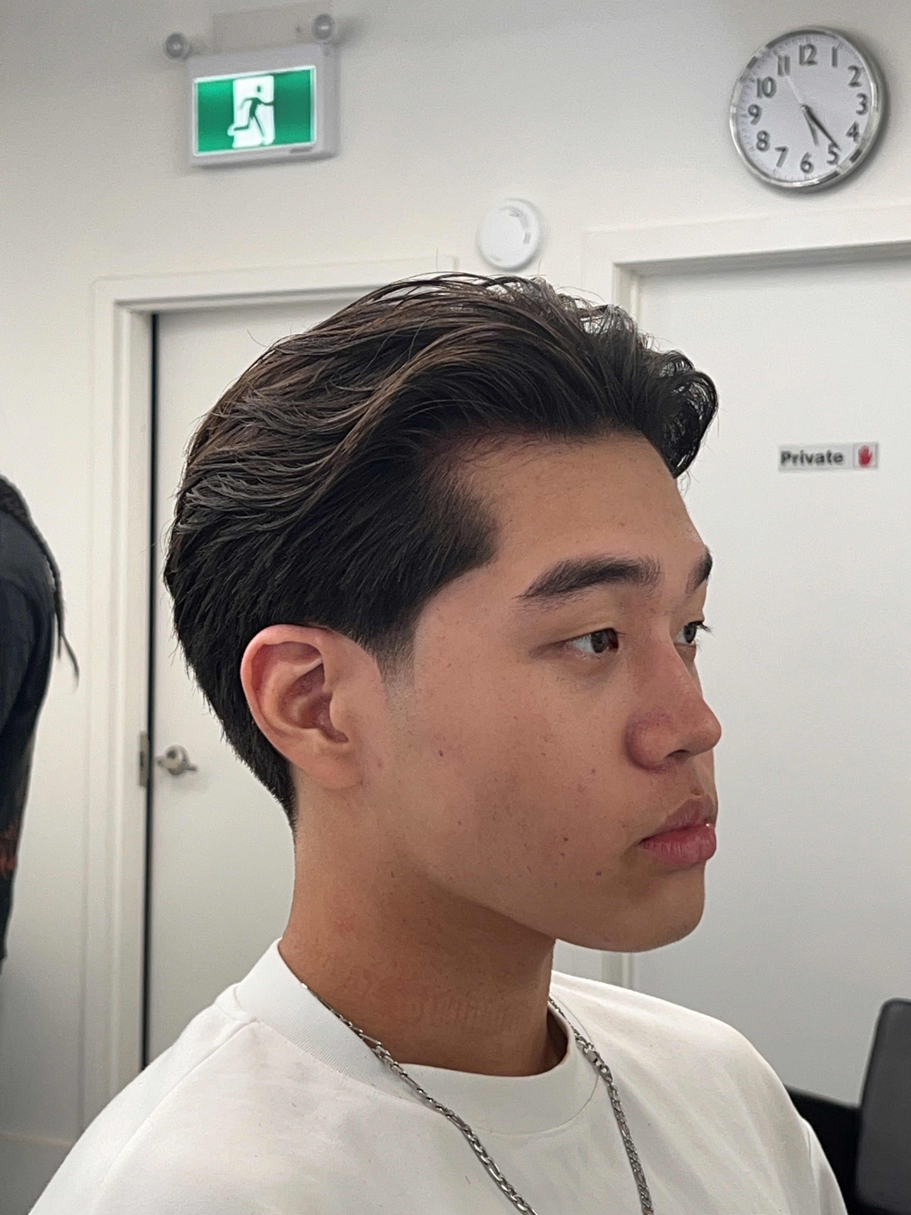 yellow Labrador retriever biting yellow tulip flower