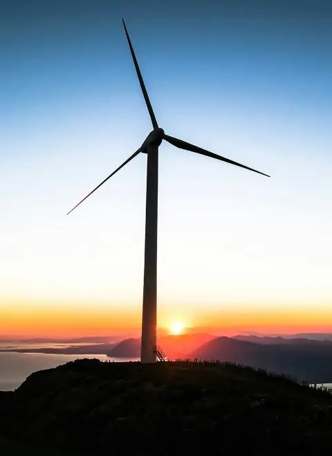 Project Content Image - 2