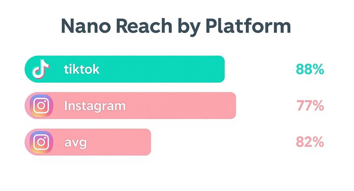 Infographic about what is a nanoinfluencer