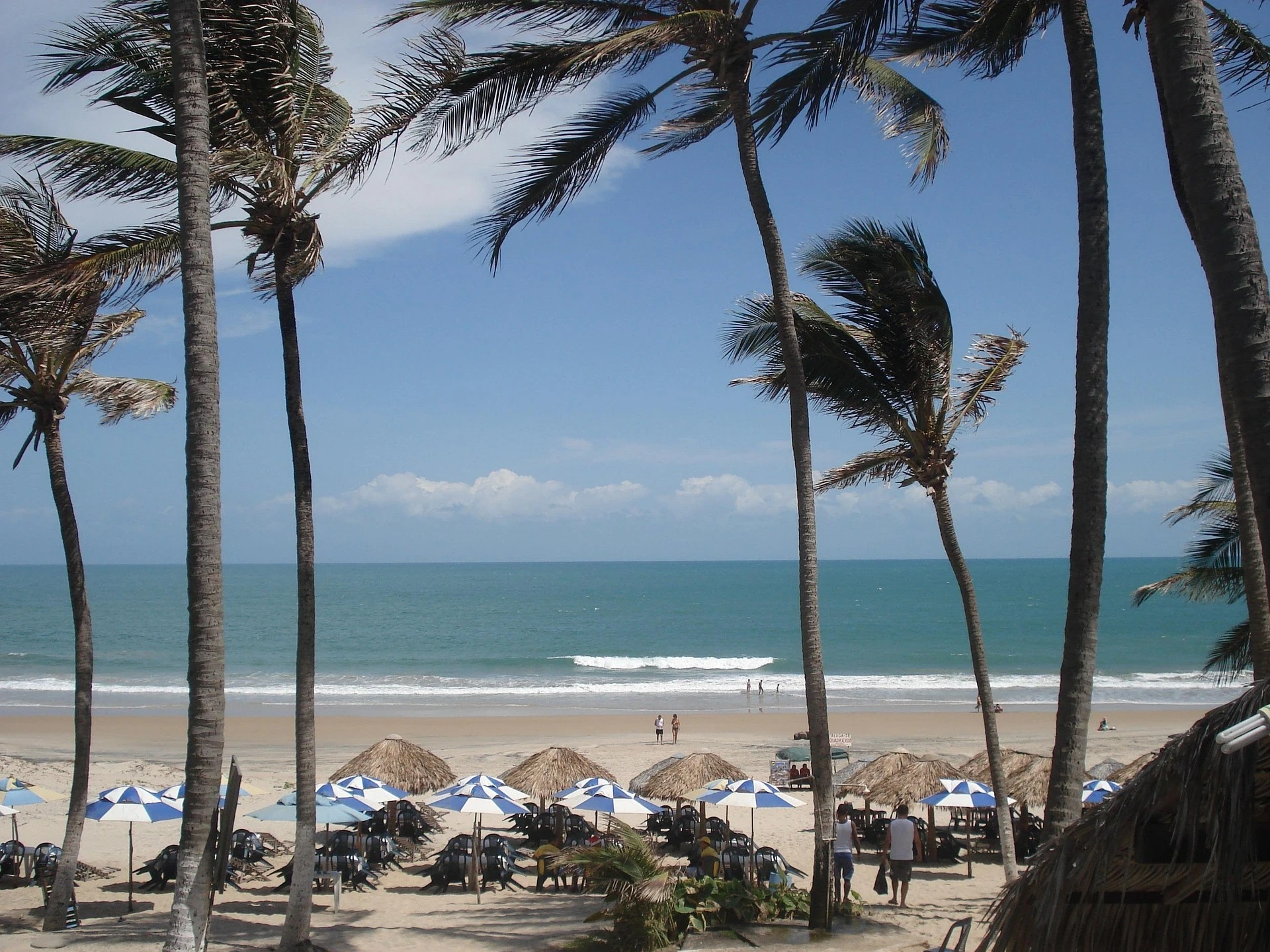 Vista panorámica de una playa tropical con palmeras, sombrillas y el mar, ideal para quienes buscan cómo pagar en Brasil durante sus vacaciones