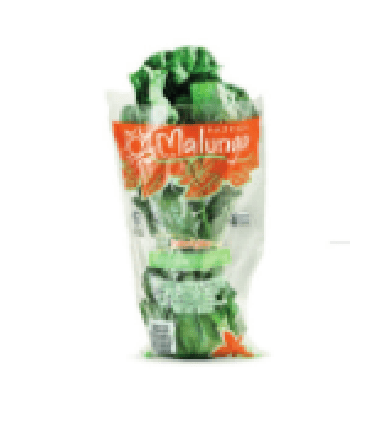 Foto de Couve Manteiga