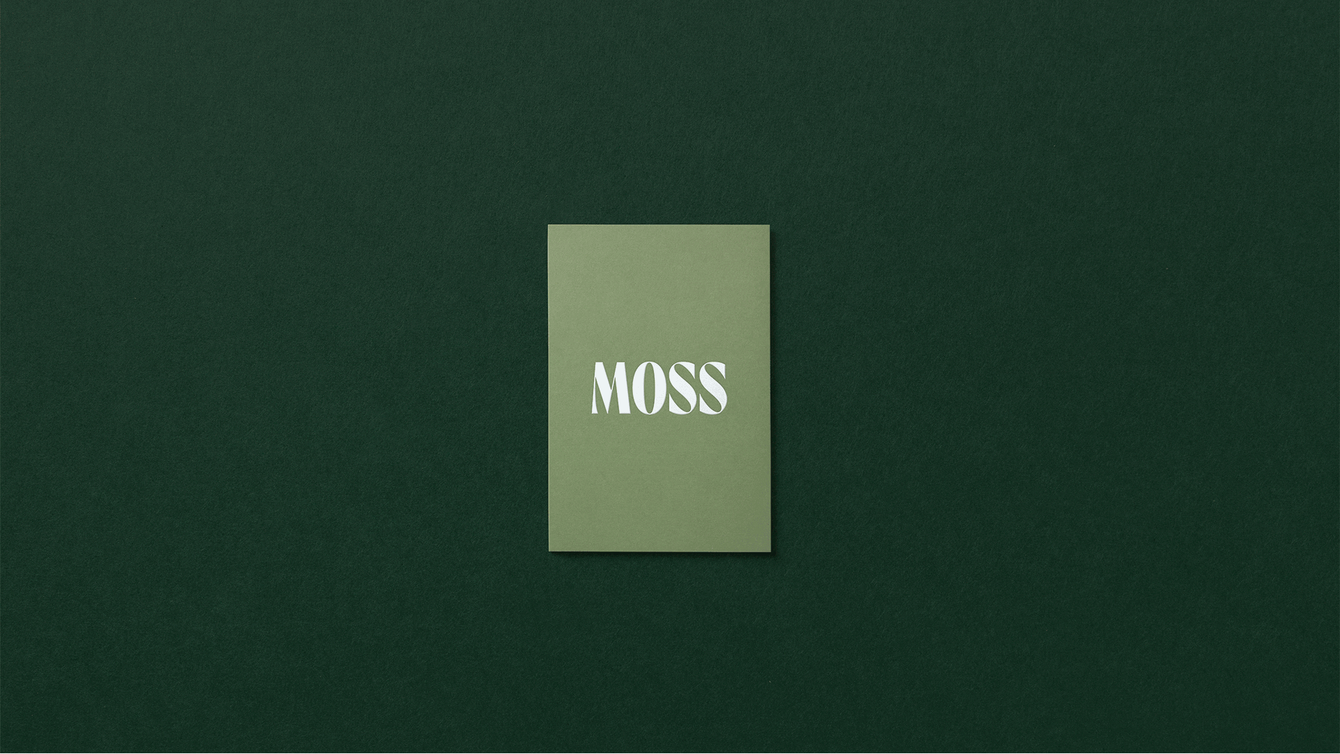 Moss guest welcome cards and stationery laid flat on green background