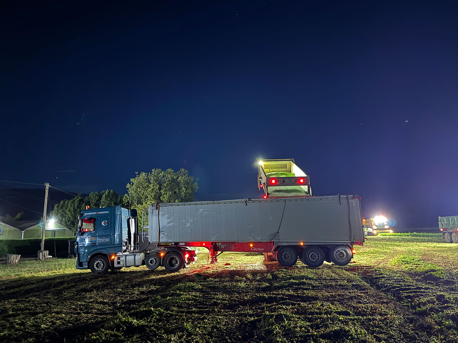 Freshly harvested peas are being tipped into a large trailer attached to a lorry cab. The sky is dark and there are vehicle lights illuminating the field.