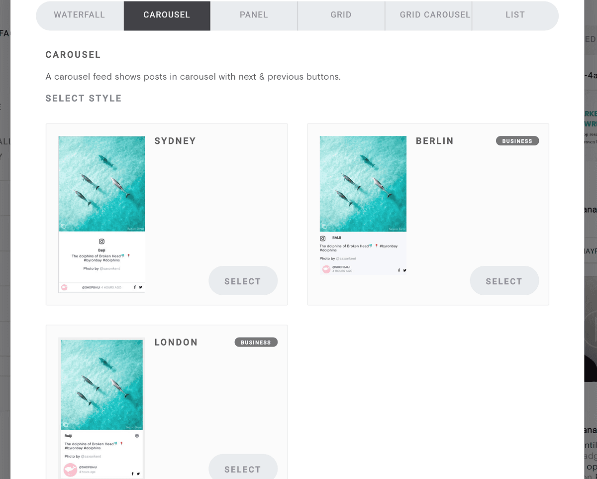 curator feed templates