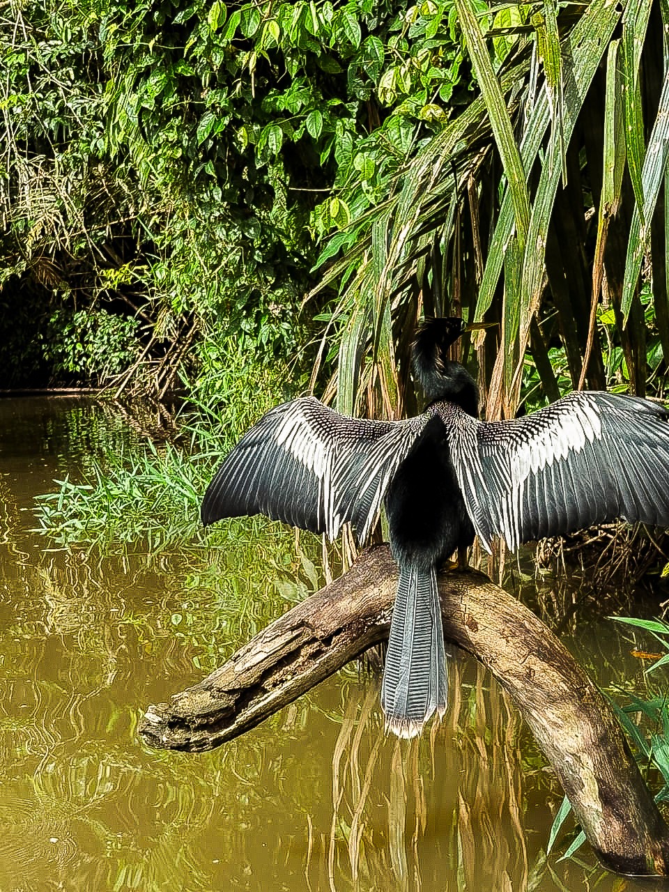 a large stone sculpture with Great Sphinx of Giza in the background