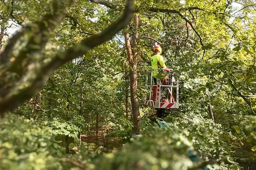 Forstarbeiter mit Kettensäge im Wald