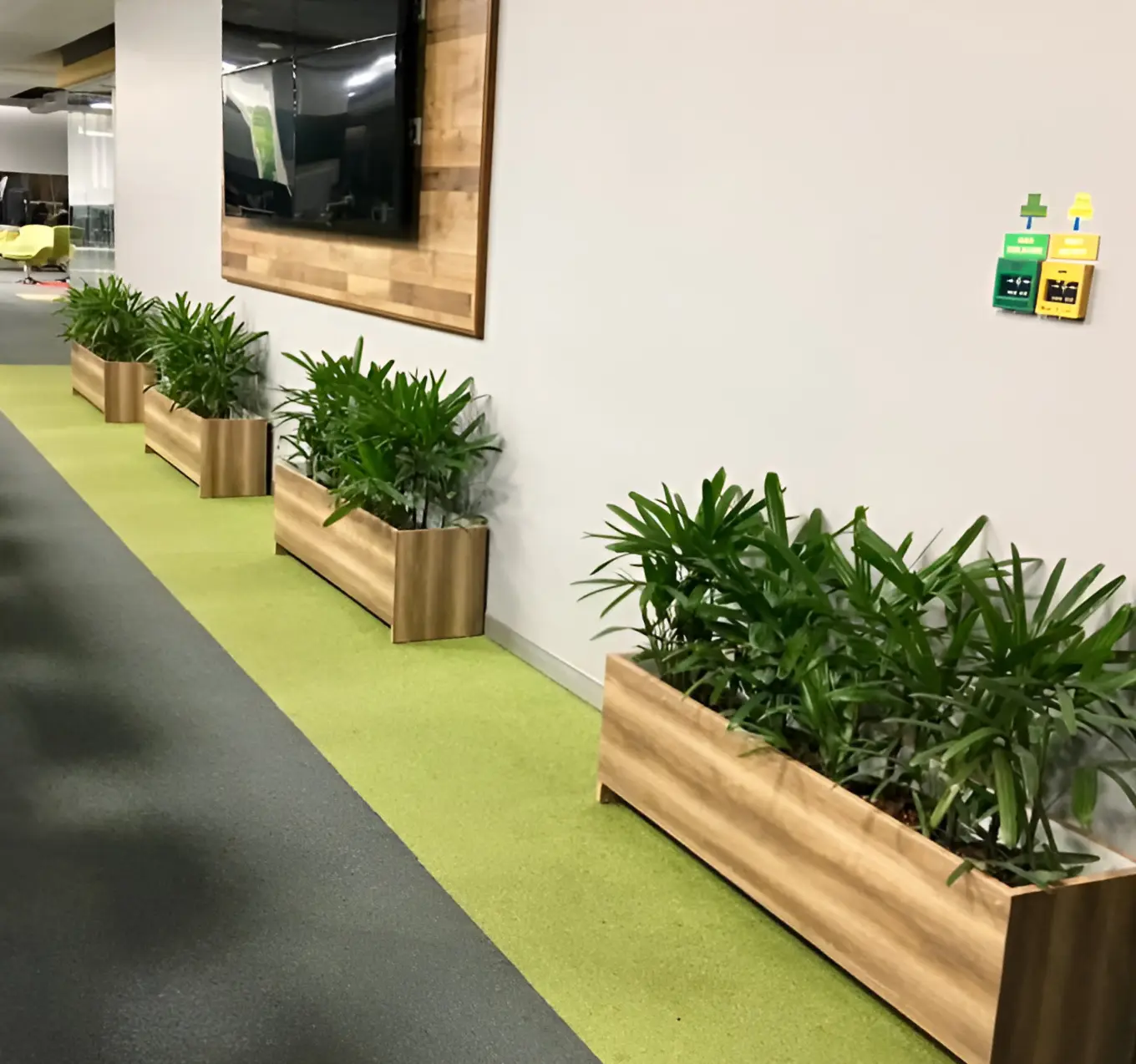 Low-maintenance greenery along office walkways