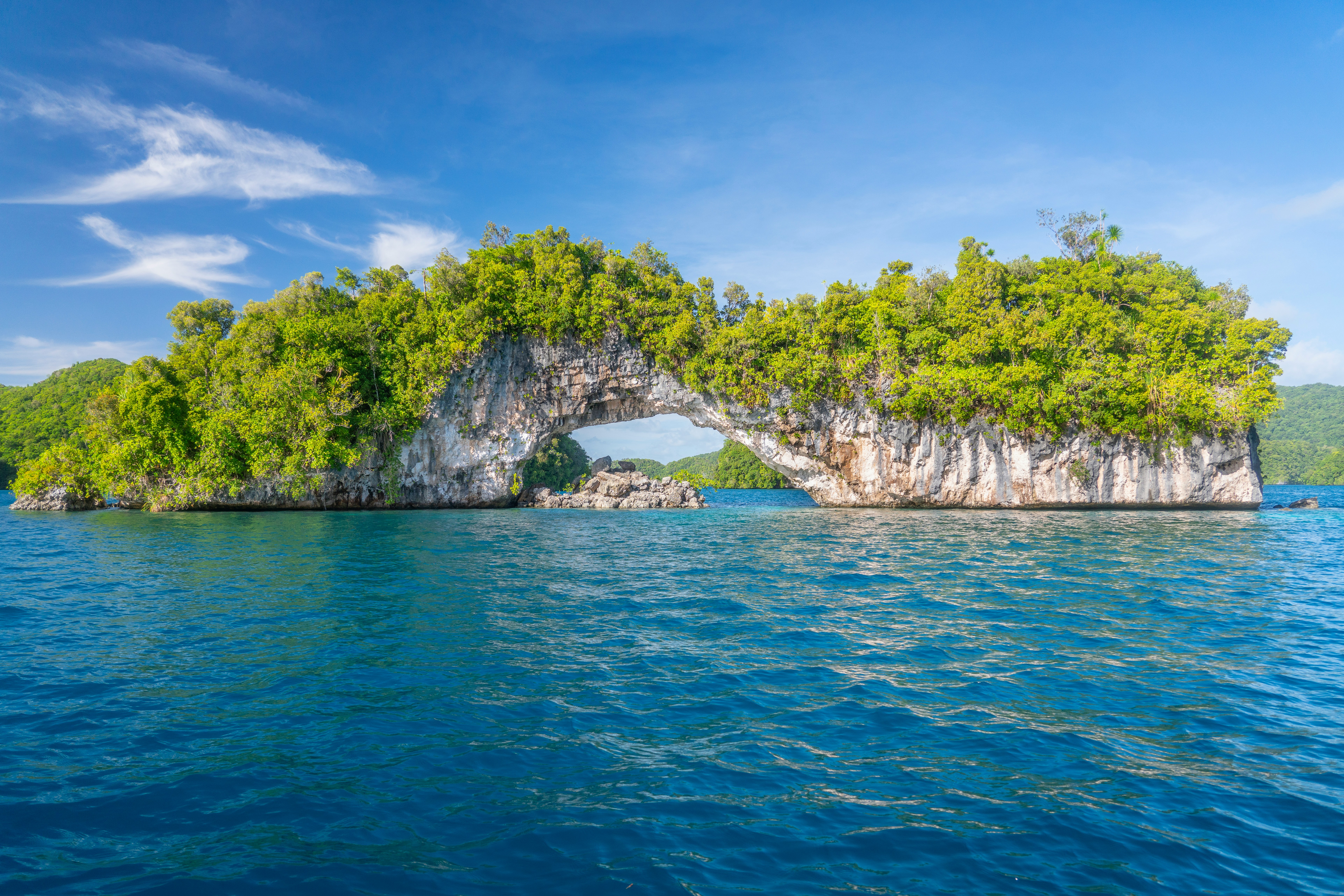 an island in the middle of a body of water
